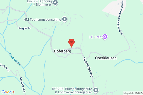 Schaffer-Maierhofer OEG