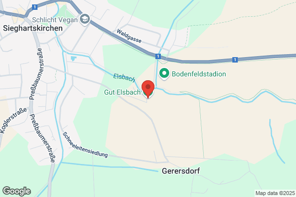 Ernestine Biber