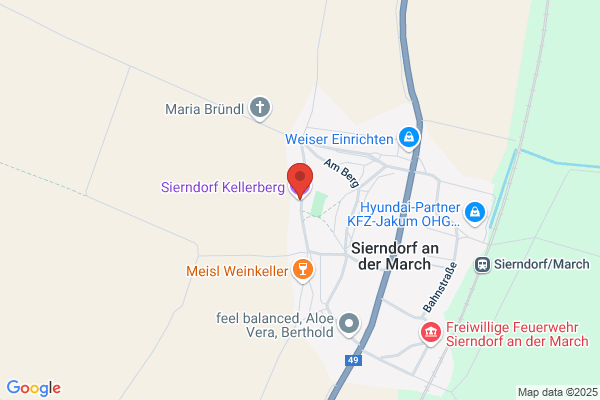 WWW - Welt Weit Werben