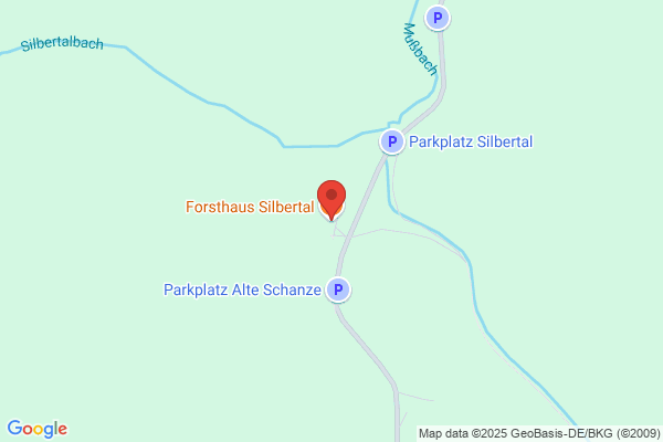 Priska Margreiter Foersterhaus Wald