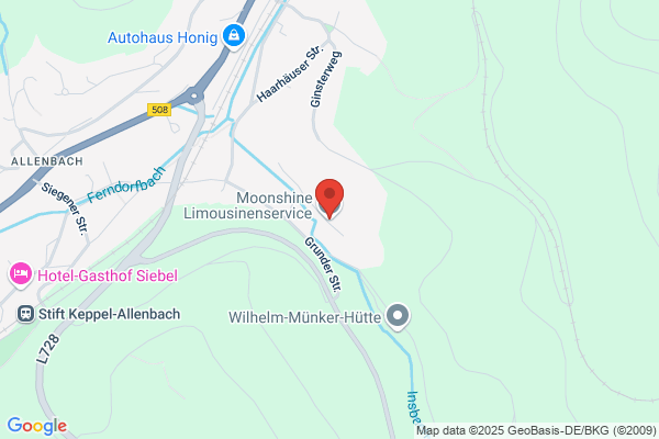 Limousinenvermietung Traum- Hochzeit