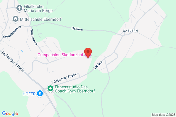 Gasthaus-Pension Skorianzhof