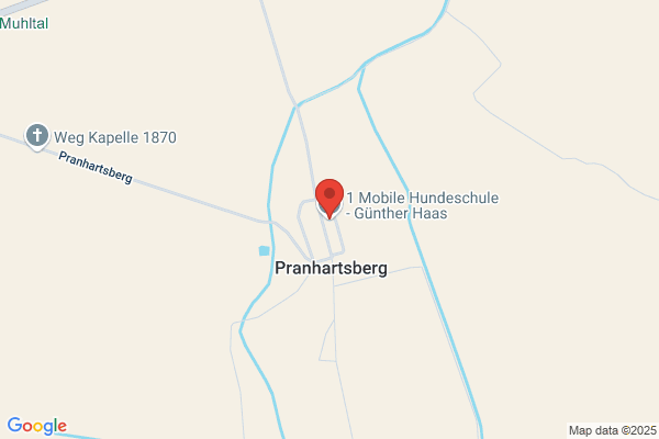 Guenther Haas