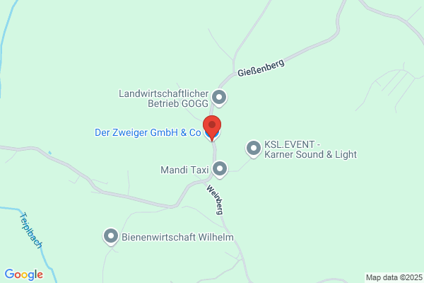 Ferdinand Zweiger