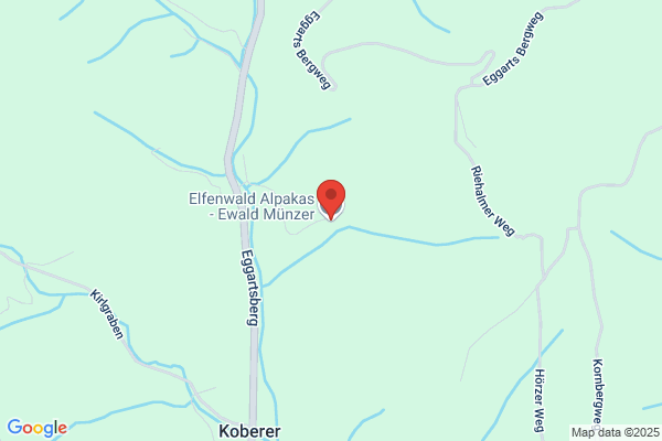 Elfenwald Alpakas - Ewald Münzer