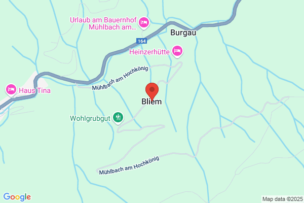 Bliem