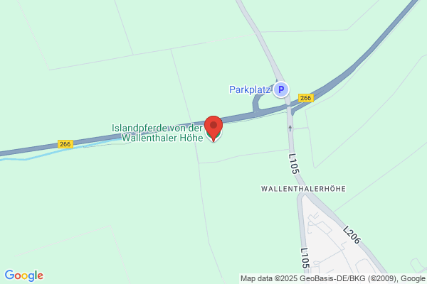 Reitsportverein Islandpferde