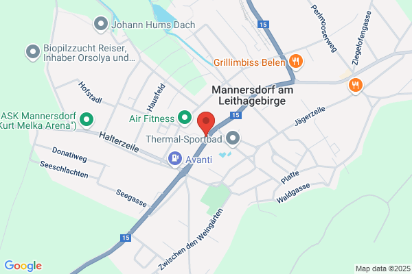 Hemmer Mauertrockenlegung