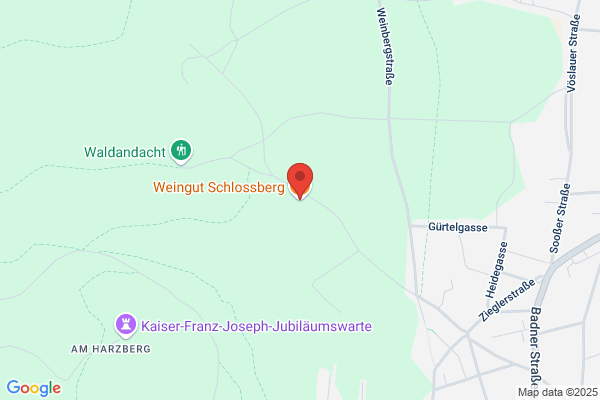Weingut Schlossberg