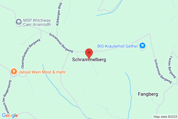 Johann Schrammel