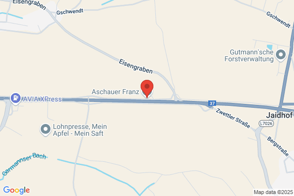 Franz Aschauer