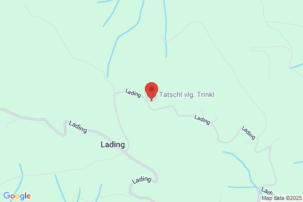 Forstbetrieb Tatschl GmbH