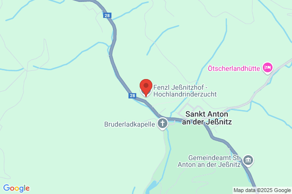 Fenzl Jessnitzhof - Hochlandrinderzucht